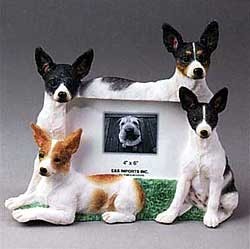 Rat Terrier Picture Frame