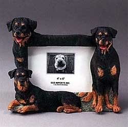 Rottweiler Picture Frame