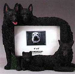 Schipperke Picture Frame
