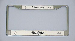 Budgie License Plate Frame