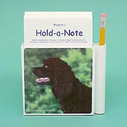 American Water Spaniel Hold-a-Note