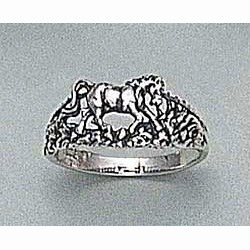 Horse Ring