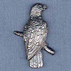 African Gray Parrot Pin