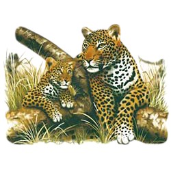 Leopard T-Shirt - With Cub