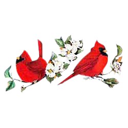 Cardinal T-Shirt - Eye Catching Red