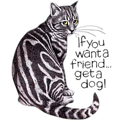 Cat T-Shirt - If You Want a Friend