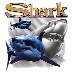 Shark T-Shirt - Bright and Colorful