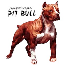 Pit Bull Terrier T-Shirt - Stout and Stong