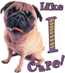 Pug T-Shirt - American Dog