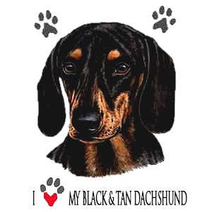 Dachshund T-Shirt - Collage