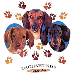 Dachshund T-Shirt - Puppies and Paws