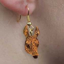 Armadillo Earrings