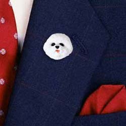 Bichon Frise Pin