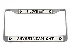 Abyssinian Cat License Plate Frame