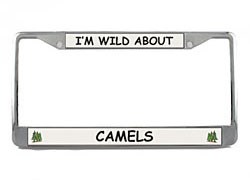 Camel License Plate Frame