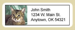 Abyssinian Cat Address Labels