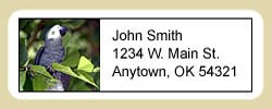 African Gray Parrot Address Labels