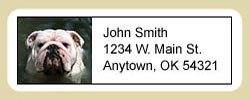 Bulldog Address Labels