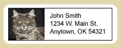 Gray Cat Address Labels