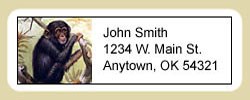 Chimpanzee Address Labels