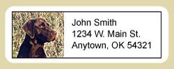 Chocolate Lab Address Labels