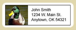Duck Address Labels