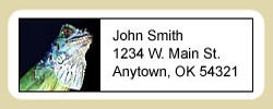 Iguana Address Labels