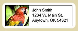 Macaw Address Labels