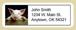 Pig Address Labels