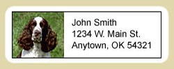 Springer Spaniel Address Labels