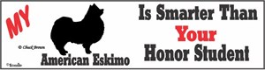 American Eskimo Dog Bumper Sticker Honor Student