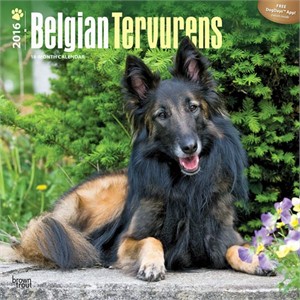 2011 Belgian Tervuren Calendar