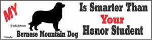 Bernese Mountain Dog Bumper Sticker Honor Student