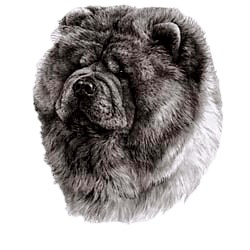 Chow Chow Shirts