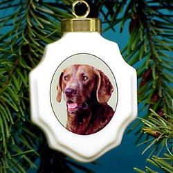 Chesapeake Bay Retriever Ornament