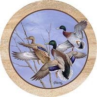 Duck Coasters