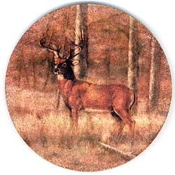 Deer Coasters