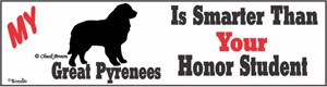Great Pyrenees Bumper Sticker Honor Student