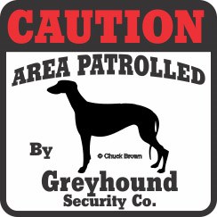 Greyhound Bumper Sticker Caution