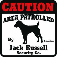 Jack Russell Bumper Sticker Caution