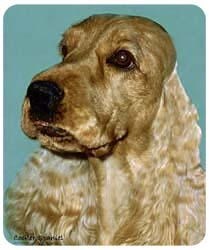 Cocker Spaniel Mousepad