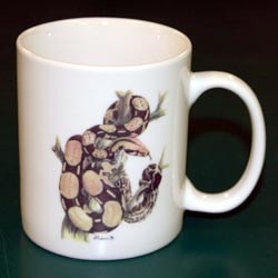 Boa Snake Mug