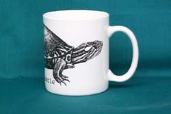 Turtle Mug