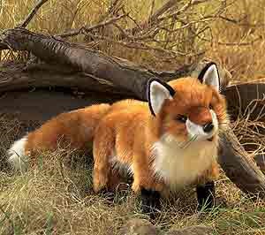 Fox Puppet