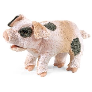Pig Puppet