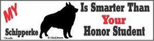 Schipperke Bumper Sticker Honor Student