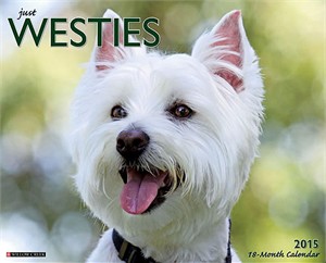  West Highland Terriers Calendar 2013